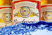 Craft Beer TheDrinkNation.com | Class Action Suits Accuse Anheuser-Busch of Watering Down Beer | The Drink Nation