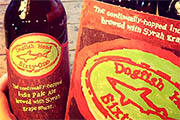 Craft Beer TheDrinkNation.com | Beer Review: Dogfish Head Sixty-One | The Drink Nation
