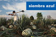 Siembra Azul Introduces Two New Extra Anejo Tequilas
