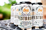 Craft Beer TheDrinkNation.com | Beer Review: Westbrook Gose | The Drink Nation