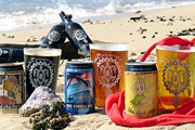 Craft Beer TheDrinkNation.com | Aloha From Maui Brewing Company, Where the Only Thing Colder Than the Beer Is the Iced Bar Top | The Drink Nation