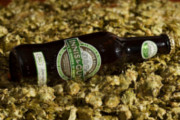 Craft Beer TheDrinkNation.com | Scottish Brewery Releases 'Performance Enhancing' Ale | The Drink Nation