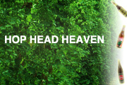 Craft Beer TheDrinkNation.com | Hop Head Heaven | The Drink Nation