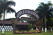 Appleton Estate Celebrates 20 Years with Joy Spence
