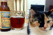 Craft Beer TheDrinkNation.com | Instagram Account Pairs Cats With Beer, Makes Internet's Dreams Come True | The Drink Nation