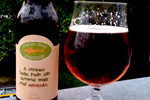 Craft Beer TheDrinkNation.com | Dogfish Head Aprihop | The Drink Nation