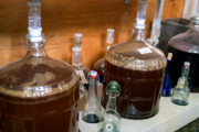 Craft Beer TheDrinkNation.com | Move Over Kombucha, Kefir Beer Could Be the Next Big Thing in Fermentation | The Drink Nation