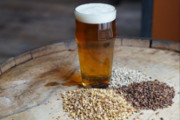 Craft Beer TheDrinkNation.com | Lonely Planet Ranks Philadelphia No. 1 Travel Destination in U.S.: Cites Craft Breweries as a Reason | The Drink Nation